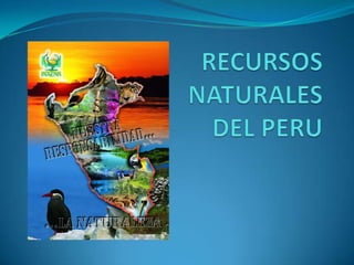 RECURSOS NATURALES DEL PERU 