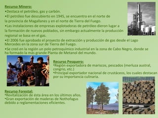 Recurso Minero: Destaca el petróleo, gas y carbón.  El petróleo fue descubierto en 1945, se encuentra en el norte de  la provincia de Magallanes y en el norte de Tierra del Fuego. Las instalaciones de empresas explotadoras de petróleo dieron lugar a  la formación de nuevos poblados, sin embargo actualmente la producción  regional se basa en el gas.  El 2006 fue aprobado el proyecto de extracción y producción de gas desde el Lago Mercedes en la zona sur de Tierra del Fuego. Se creó en la región un polo petroquímico industrial en la zona de Cabo Negro, donde se ha formado la más grande Planta de Metanol del mundo.  Recurso Pesquero: Región exportadora de mariscos, pescados (merluza austral, congrio, etc.) Principal exportador nacional de crustáceos, los cuales destacan por su importancia culinaria.  Recurso Forestal: Revitalización de ésta área en los últimos años. Gran exportación de maderas de Nothofagus debido a reglamentaciones eficientes.  