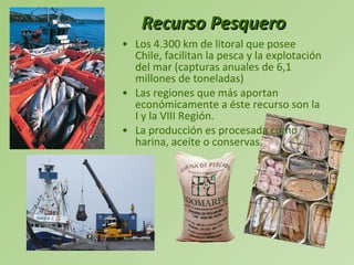 Los 4.300 km de litoral que posee Chile, facilitan la pesca y la explotación del mar (capturas anuales de 6,1 millones de toneladas)  Las regiones que más aportan económicamente a éste recurso son la I y la VIII Región.  La producción es procesada como harina, aceite o conservas. Recurso Pesquero 