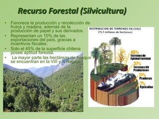 Recurso Forestal (Silvicultura) Favorece la producción y recolección de frutos y madera, además de la producción de papel y sus derivados. Representan un 10% de las exportaciones del país, gracias a incentivos fiscales.  Solo el 45% de la superficie chilena posee aptitud forestal. La mayor parte las hectáreas de bosque se encuentran en la VIII y X Región. 