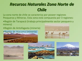 Recursos Naturales Zona Norte de Chile La zona norte de chile se caracteriza por poseer regiones Pesqueras y Mineras. Esta zona está compuesta por 3 regiones:  Región de Tarapacá (trabaja principalmente sector pesquero y minero) Región de Antofagasta (minería)  Región de Atacama (minería). 