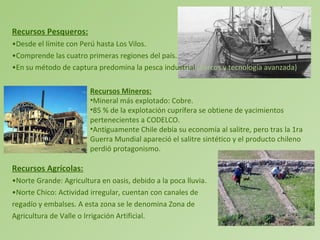 Recursos Pesqueros: Desde el límite con Perú hasta Los Vilos.  Comprende las cuatro primeras regiones del país.  En su método de captura predomina la pesca industrial  (barcos y tecnología avanzada) Recursos Agrícolas: Norte Grande: Agricultura en oasis, debido a la poca lluvia.  Norte Chico: Actividad irregular, cuentan con canales de  regadío y embalses. A esta zona se le denomina Zona de  Agricultura de Valle o Irrigación Artificial. Recursos Mineros: Mineral más explotado: Cobre. 85 % de la explotación cuprífera se obtiene de yacimientos pertenecientes a CODELCO.  Antiguamente Chile debía su economía al salitre, pero tras la 1ra Guerra Mundial apareció el salitre sintético y el producto chileno perdió protagonismo.  