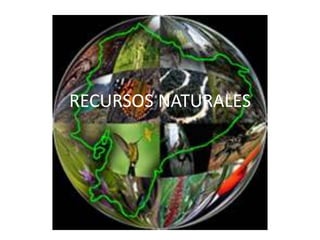 RECURSOS NATURALES 