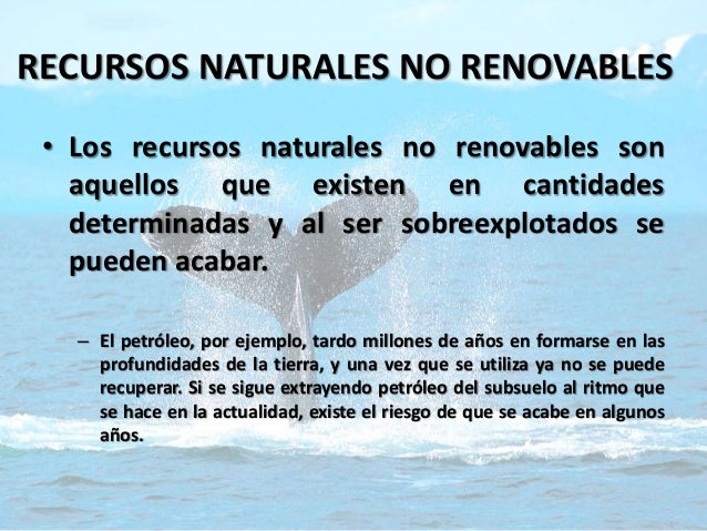 Recursos Naturales