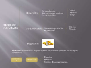 RECURSOS
NATURALES
Renovables
No Renovables
Inagotables
Son aquellos que
Con bajo aprovechamiento
Son recuperables
No tienen capacidad de
recuperación
Corto
Mediano
Largo
Petróleo
Minería
Biodiversidad: la totalidad de genes especies y ecosistemas presentes en una región
determinada
ECOLOGICA
S
PROTECCIÓN
Especies
Habitad
Control de contaminación
 