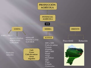 PRODUCCIÓN
AGRÍCOLA
POTENCIAL
AGRÍCOLA
COSTA SIERRA ORIENTE
SON
4 MILL. HECT.
•SANTA ELENA
•FRONTERA
CON PERÚ
•MANABÍ
•ESMERALDAS
•LOS RÍOS
Café
Cacao
Caña de azúcar
Arroz
Algodón
Pastizales
naturales
ALTITUD
2200 a 2400
•Caña de azúcar
•Tomate
•Frutales
2400 a 3000
•Frejol
•Trigo
•Hortalizas
3200
•Papa
•Cebada
•Tubérculos
Poco fértil Rotación
 