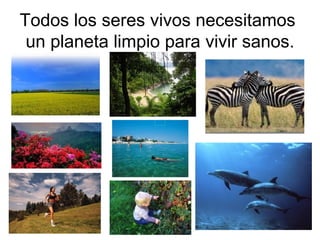 Todos los seres vivos necesitamos  un planeta limpio para vivir sanos. 