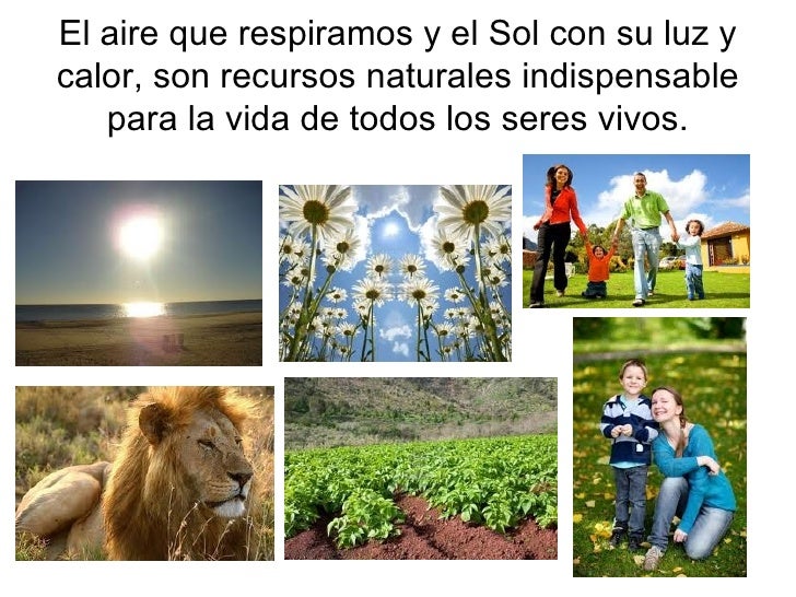 La extracción de recursos implica cualquier actividad que retira los recursos de la naturaleza. Esto puede variar en escala, desde el uso tradicional de las sociedades preindustriales, a la industria global. Las industrias extractivas son, junto con la agricultura, la base del sector primario de la economía. La extracción produce materia.