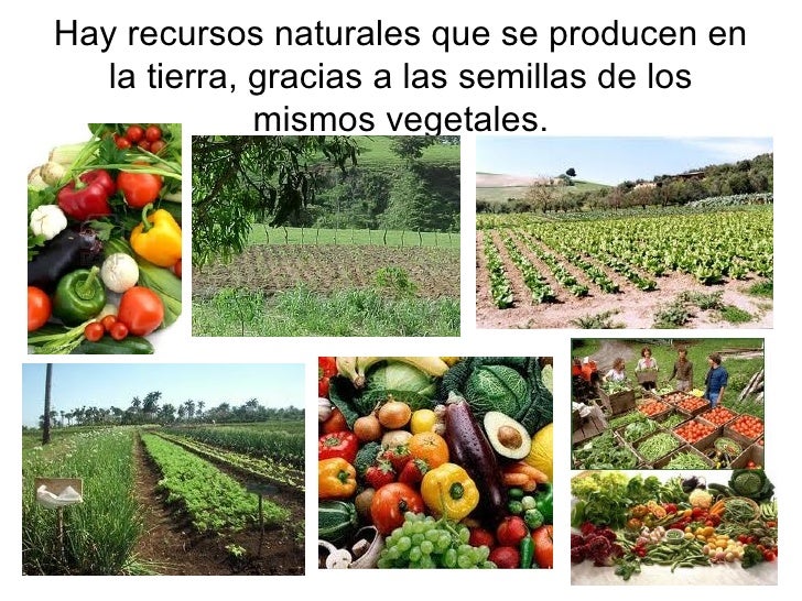 Recursos de la naturaleza Los recursos no renovables son aquellos recursos que existen en la naturaleza de manera limitada o bien, que tienen una capacidad de regeneración que va muy por detrás de la velocidad con la que el hombre los utiliza. Se habla de “reservas” entonces para hacer alusión a lo que queda de estos recursos.