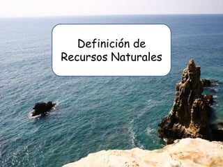 Definición de
Recursos Naturales
 