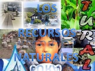 LOS RECURSOS NATURALES 