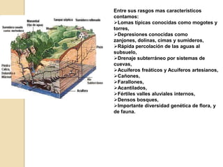 Entre sus rasgos mas característicos contamos:Lomas típicas conocidas como mogotes y torres,