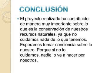 Depresiones conocidas como zanjones, dolinas, cimas y sumideros,