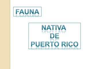 FaunaNativaDePuerto rico