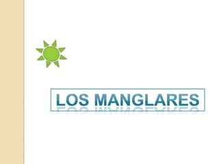 Los manglares