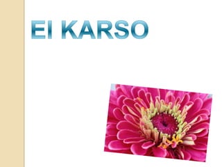 El KARSO