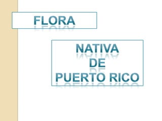 FloraNativaDePuerto Rico