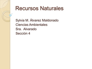 RecursosNaturales Sylvia M. ÁlvarezMaldonado CienciasAmbientales Sra.  Alvarado Sección 4  