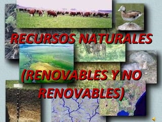 RECURSOS NATURALES  (RENOVABLES Y NO RENOVABLES) 