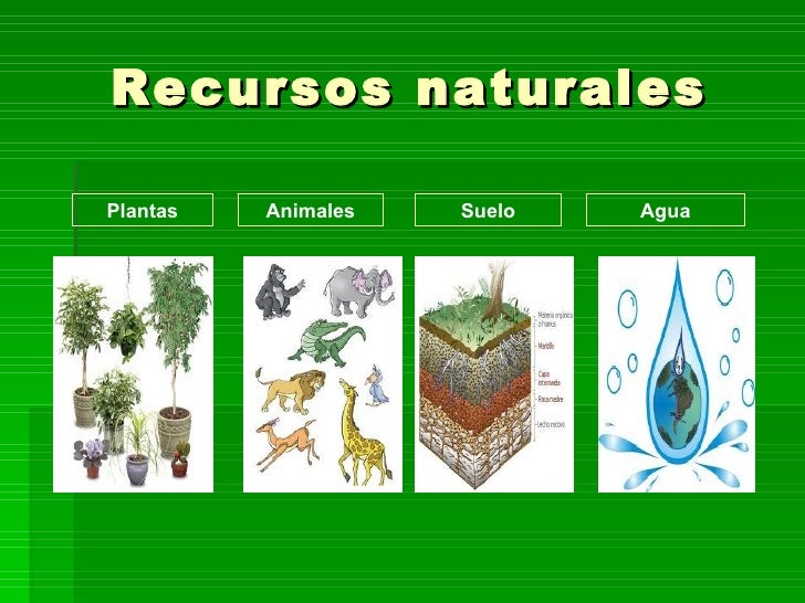 RECURSOS NATURALES ¿Qué son los Recursos Naturales? Recursos naturales: Se denominan recursos naturales a aquellos bienes materiales y servicios que proporciona la naturaleza sin alteración por parte del ser humano; y que son valiosos para las sociedades humanas por contribuir a su bienestar y desarrollo de manera directa (materias primas, minerales, alimentos) o indirecta (servicios ecológicos).