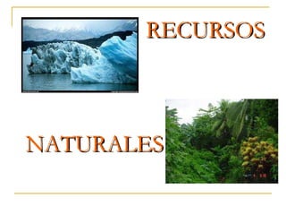 RECURSOS   NATURALES 