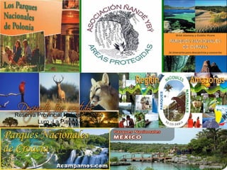 Reserva Provincial Natural- Parque Luro -La Pampa- 