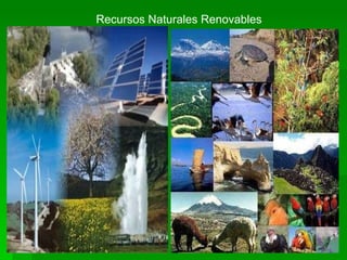 Recursos Naturales Renovables 