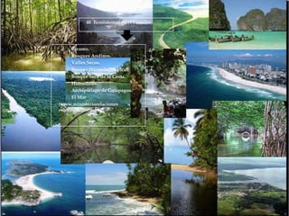 46 Ecosistemas en el Ecuador .




-     Páramo.
-     Bosques Andinos.
-     Valles Secos.
-     Bosque Húmedo Tropical.
-     Bosque Seco de la Costa.
-     Humedales.
-     Archipiélago de Galápagos.
-     El Mar
(www.ministeriorelaciones
exteriores.gov.ec)
 