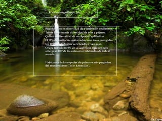 Ecuador megadiverso por:




-   Segundo País en diversidad de vertebrados endémicos.
-   Tercer País con más diversidad de aves y pájaros.
-   Quinto en diversidad de mariposas Papilónidas.
-   El 18% de territorio considerado como áreas protegidas.
-   Un 10,7% de todos los vertebrados viven aquí.
-   Ocupa tan solo 0,19% de la superficie terrestre pero
    alberga al 10,7 de los animales vertebrados de todo el
    mundo.

-   Habita una de las especies de primates más pequeños
    del mundo (Mono Tití o Leoncillo ).
 