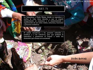 La Naturaleza o Pacha Mama, donde se reproduce y
realiza la vida, tiene derecho a que se respete
integralmente su existencia y el mantenimiento y
regeneración de sus ciclos vitales, estructura, funciones
y procesos evolutivos.




El estado incentivará a las personas naturales y
jurídicas, y a los colectivos, para que protejan la
naturaleza, y promoverá el respeto a todos los
elementos que forman un ecosistema.




                                                            IVÁN BAYAS
 