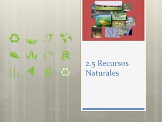 2.5 Recursos
Naturales
 