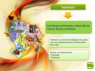 Importancia




Contribuyen al bienestar y desarrollo de
manera directa e indirecta.



   Indirecta: Los servicios ecológicos los cuales
   son muy importantes para la continuidad
   de la vida.


   Directa: La materia prima.
   *minerales
   *alimentos
 