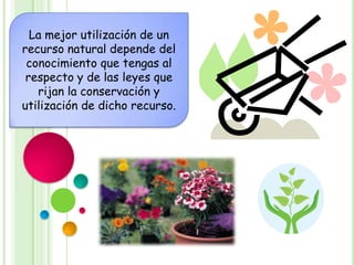 La mejor utilización de un
recurso natural depende del
 conocimiento que tengas al
 respecto y de las leyes que
   rijan la conservación y
utilización de dicho recurso.
 