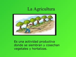 La Agricultura




Es una actividad productiva
donde se siembran y cosechan
vegetales y hortalizas.
 