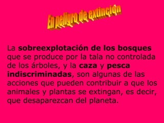 La sobreexplotación de los bosques
que se produce por la tala no controlada
de los árboles, y la caza y pesca
indiscriminadas, son algunas de las
acciones que pueden contribuir a que los
animales y plantas se extingan, es decir,
que desaparezcan del planeta.
 
