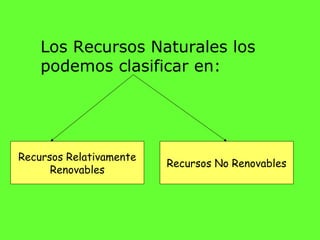 Los Recursos Naturales los
    podemos clasificar en:




Recursos Relativamente
                         Recursos No Renovables
      Renovables
 