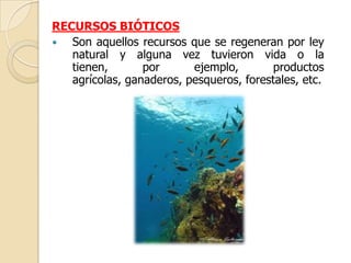 RECURSOS BIÓTICOS
  Son aquellos recursos que se regeneran por ley
   natural y alguna vez tuvieron vida o la
   tienen,       por      ejemplo,        productos
   agrícolas, ganaderos, pesqueros, forestales, etc.
 