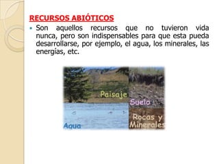 RECURSOS ABIÓTICOS
 Son aquellos recursos que no tuvieron vida
  nunca, pero son indispensables para que esta pueda
  desarrollarse, por ejemplo, el agua, los minerales, las
  energías, etc.
 