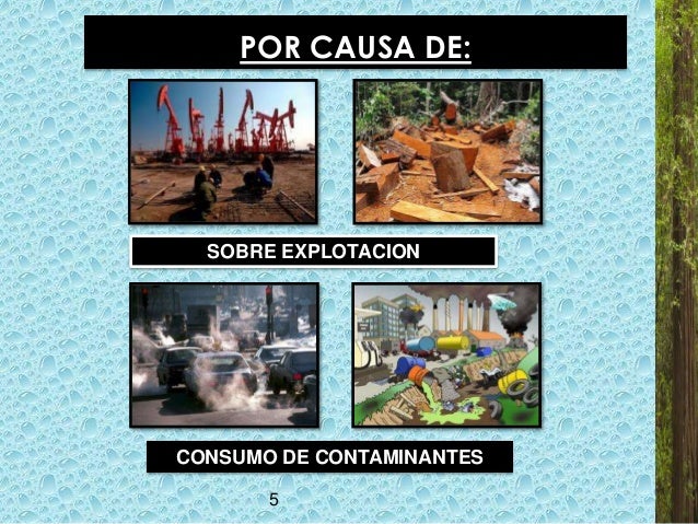 Resultado de imagen para causas de la explotacion de los recursos naturales