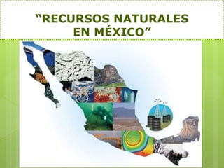 “RECURSOS NATURALES
EN MÉXICO”
 