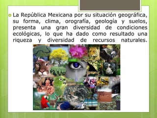  La República Mexicana por su situación geográfica,
su forma, clima, orografía, geología y suelos,
presenta una gran diversidad de condiciones
ecológicas, lo que ha dado como resultado una
riqueza y diversidad de recursos naturales.
 