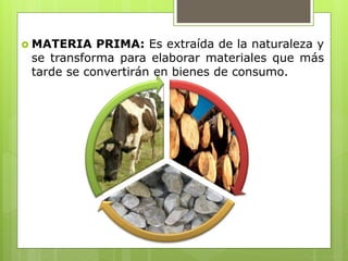  MATERIA PRIMA: Es extraída de la naturaleza y
se transforma para elaborar materiales que más
tarde se convertirán en bienes de consumo.
 