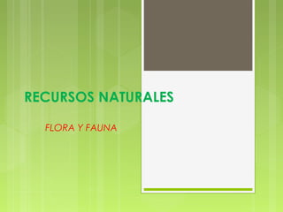 RECURSOS NATURALES
FLORA Y FAUNA
 