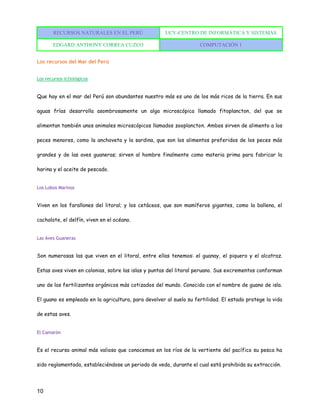 RECURSOS NATURALES EN EL PERÚ UCV-CENTRO DE INFORMÁTICA Y SISTEMAS
EDGARD ANTHONY CORREA CUZCO COMPUTACIÓN 1
10
Los recursos del Mar del Perú
Los recursos ictiológicos
Que hay en el mar del Perú son abundantes nuestro más es uno de los más ricos de la tierra. En sus
aguas frías desarrolla asombrosamente un alga microscópica llamado fitoplancton, del que se
alimentan también unos animales microscópicos llamados zooplancton. Ambos sirven de alimento a los
peces menores, como la anchoveta y la sardina, que son los alimentos preferidos de los peces más
grandes y de las aves guaneras; sirven al hombre finalmente como materia prima para fabricar la
harina y el aceite de pescado.
Los Lobos Marinos
Viven en los farallones del litoral; y los cetáceos, que son mamíferos gigantes, como la ballena, el
cachalote, el delfín, viven en el océano.
Las Aves Guaneras
Son numerosas las que viven en el litoral, entre ellas tenemos: el guanay, el piquero y el alcatraz.
Estas aves viven en colonias, sobre las islas y puntas del litoral peruano. Sus excrementos conforman
uno de los fertilizantes orgánicos más cotizados del mundo. Conocido con el nombre de guano de isla.
El guano es empleado en la agricultura, para devolver al suelo su fertilidad. El estado protege la vida
de estas aves.
El Camarón
Es el recurso animal más valioso que conocemos en los ríos de la vertiente del pacífico su pesca ha
sido reglamentada, estableciéndose un periodo de veda, durante el cual está prohibida su extracción.
 