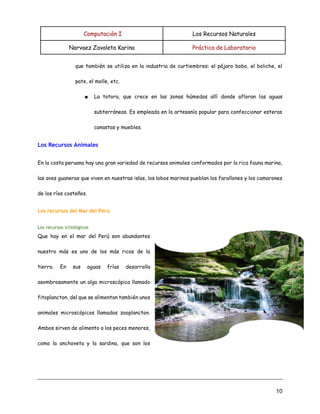 Computación I Los Recursos Naturales
Narvaez Zavaleta Karina Práctica de Laboratorio
10
que también se utiliza en la industria de curtiembres: el pájaro bobo, el boliche, el
pate, el molle, etc.
■ La totora, que crece en las zonas húmedas allí donde afloran las aguas
subterráneas. Es empleada en la artesanía popular para confeccionar esteras
canastas y muebles.
Los Recursos Animales
En la costa peruana hay una gran variedad de recursos animales conformados por la rica fauna marina,
las aves guaneras que viven en nuestras islas, los lobos marinos pueblan los farallones y los camarones
de los ríos costeños.
Los recursos del Mar del Perú
Los recursos ictiológicos
Que hay en el mar del Perú son abundantes
nuestro más es uno de los más ricos de la
tierra. En sus aguas frías desarrolla
asombrosamente un alga microscópica llamado
fitoplancton, del que se alimentan también unos
animales microscópicos llamados zooplancton.
Ambos sirven de alimento a los peces menores,
como la anchoveta y la sardina, que son los
 