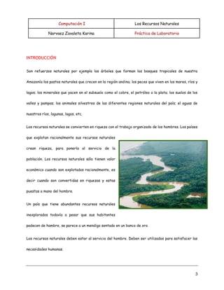 Computación I Los Recursos Naturales
Narvaez Zavaleta Karina Práctica de Laboratorio
3
INTRODUCCIÓN
Son refuerzos naturales por ejemplo los árboles que forman los bosques tropicales de nuestra
Amazonía los pastos naturales que crecen en la región andina; los peces que viven en los mares, ríos y
lagos; los minerales que yacen en el subsuelo como el cobre, el petróleo o la plata; los suelos de los
valles y pampas; los animales silvestres de las diferentes regiones naturales del país; el aguas de
nuestros ríos, lagunas, lagos, etc.
Los recursos naturales se convierten en riqueza con el trabajo organizado de los hombres. Los países
que explotan racionalmente sus recursos naturales
crean riqueza, para ponerla al servicio de la
población. Los recursos naturales sólo tienen valor
económico cuando son explotados racionalmente, es
decir cuando son convertidas en riquezas y estas
puestas a mano del hombre.
Un país que tiene abundantes recursos naturales
inexplorados todavía a pesar que sus habitantes
padecen de hambre, se parece a un mendigo sentado en un banco de oro.
Los recursos naturales deben estar al servicio del hombre. Deben ser utilizados para satisfacer las
necesidades humanas.
 