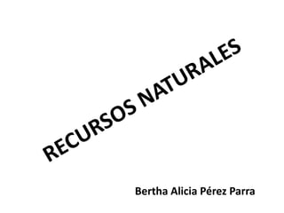 Bertha Alicia Pérez Parra
 