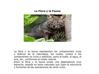 La flora y la fauna representan los componentes vivos
o bióticos de la naturaleza, los cuales, unidos a los
componentes no vivos o abióticos, como el suelo, el agua, el
aire, etc., conforman el medio natural.
Entre la flora y la fauna existe una dependencia muy
estrecha, basada en leyes naturales que rigen la estructura
y funciones de las asociaciones de seres vivos.
La Flora y la Fauna
 