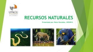 RECURSOS NATURALES
Presentado por: Raico Gonzáles, JHOUR B.
 