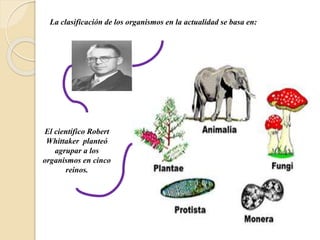 El científico Robert
Whittaker planteó
agrupar a los
organismos en cinco
reinos.
La clasificación de los organismos en la actualidad se basa en:
 